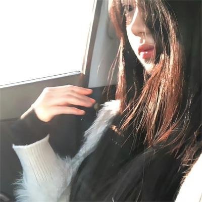警花燕子